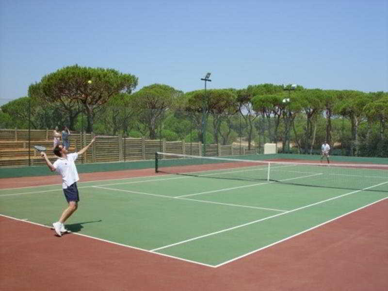 Pinus Ria المانسيل المظهر الخارجي الصورة